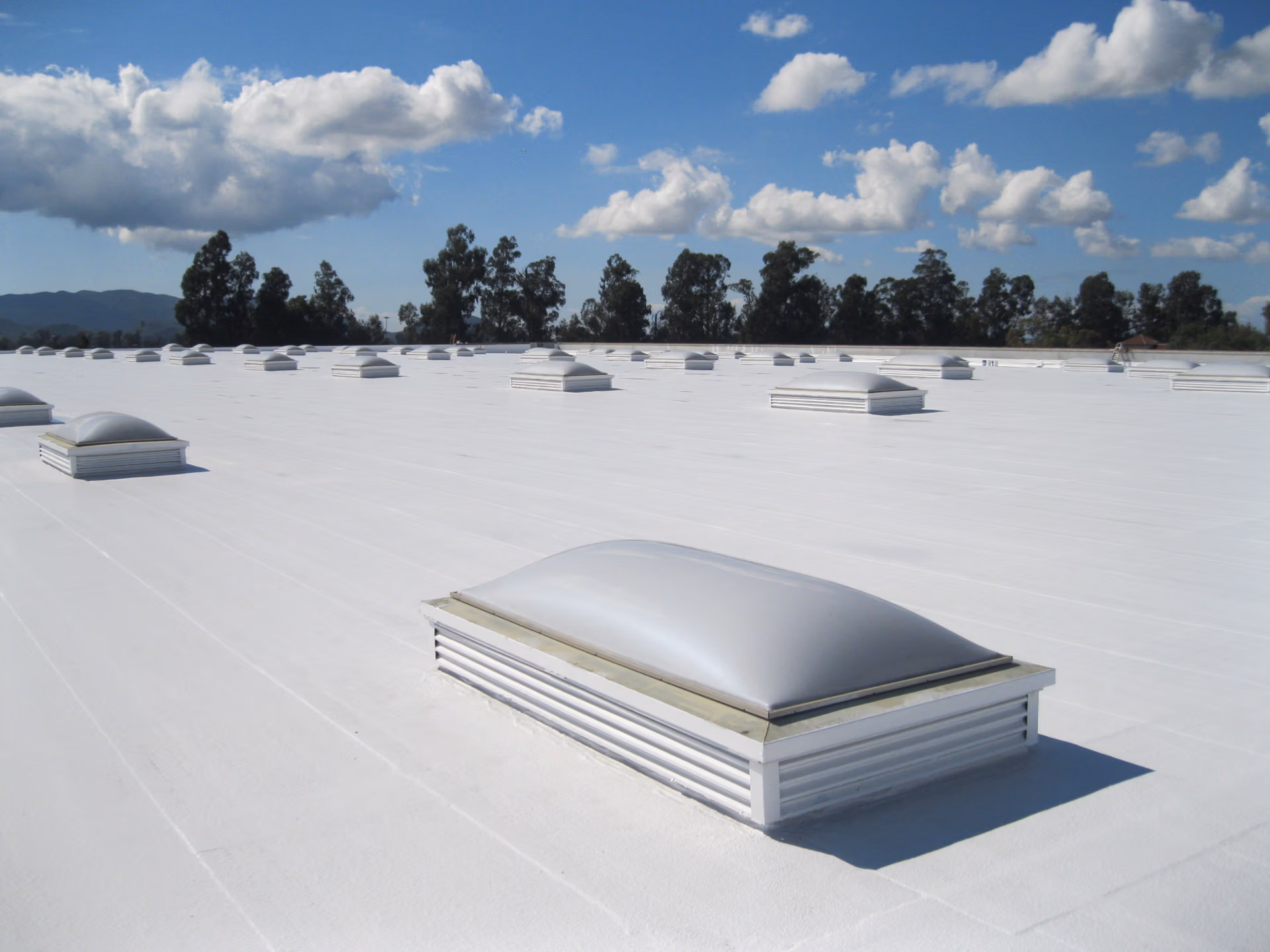 TPO Roof Scaled