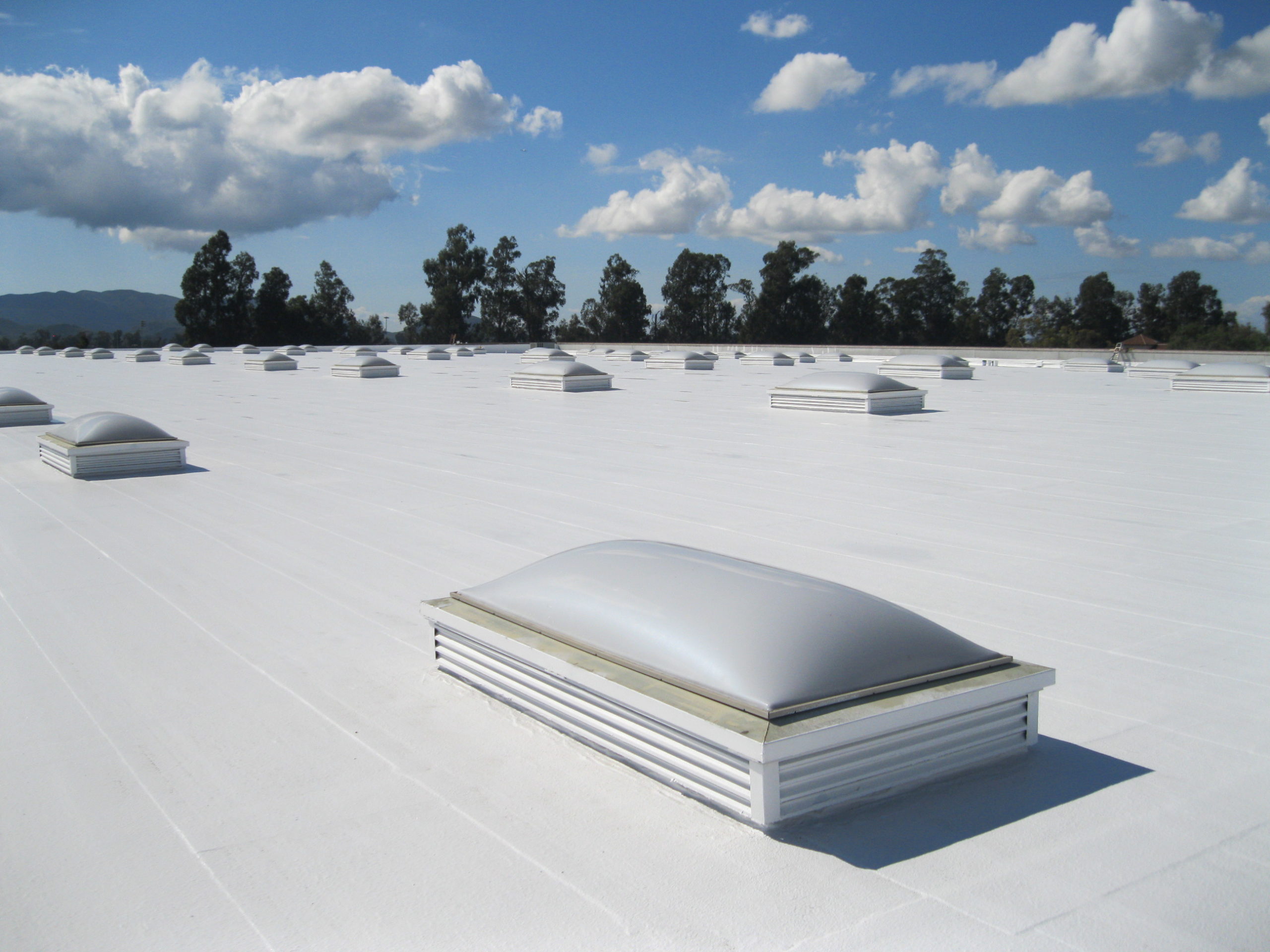 TPO Roof Scaled